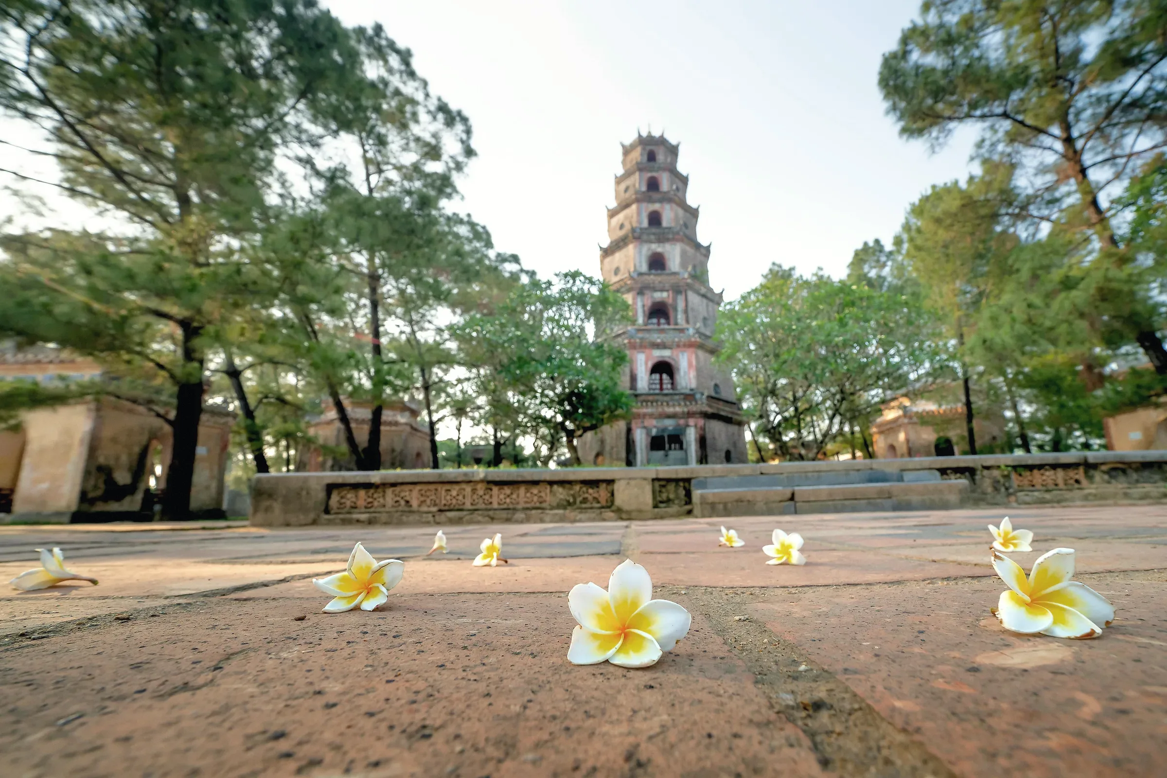 Bảo tháp giữa khuôn viên cây xanh