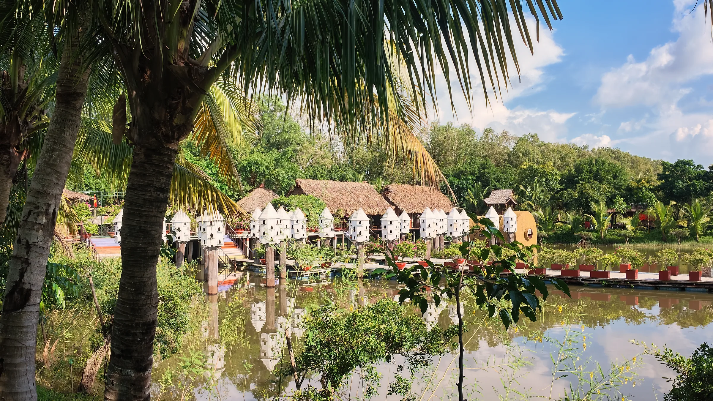 Nhà sàn mái lá và dãy chuồng chim trắng bên mặt nước trong rừng tràm Trà Sư