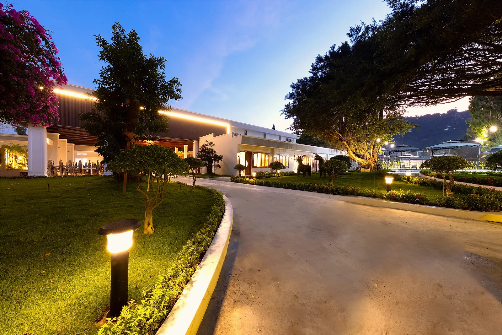 Lối xe vào MerPerle Nui Sam Resort lúc chạng vạng, hoa giấy và cây đa trước sảnh